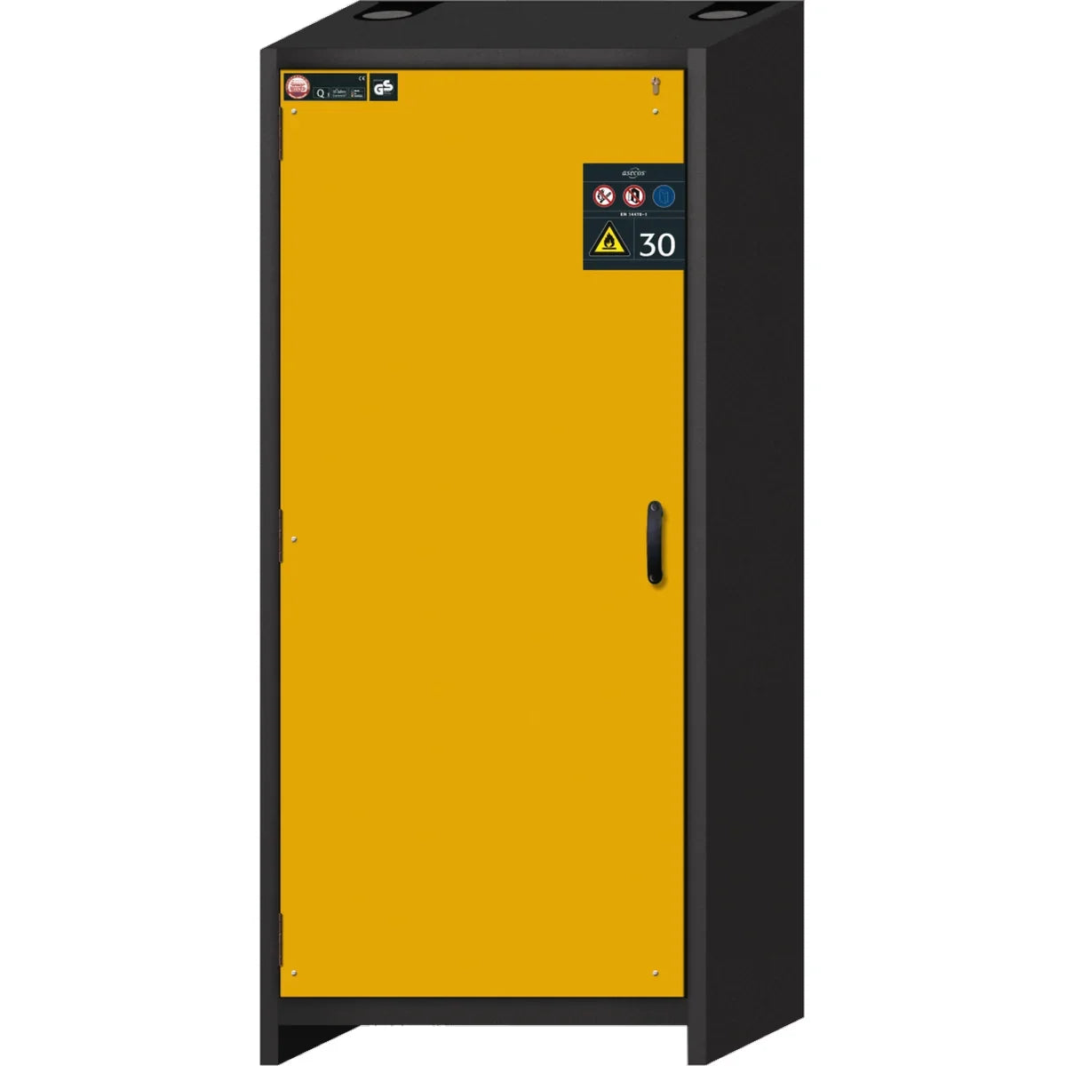 Armadio di Sicurezza Chimica Q-30