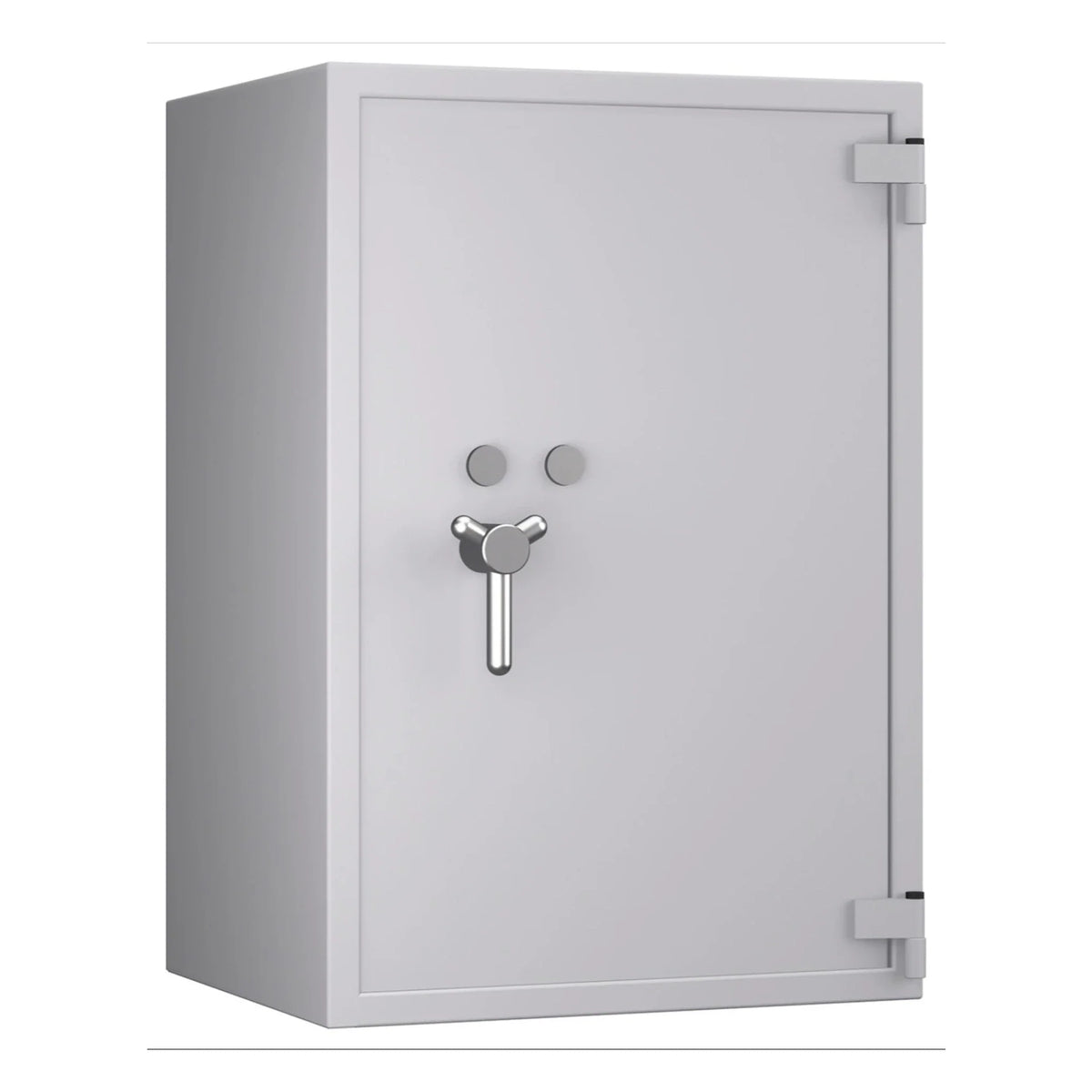 Pegasus Pro safe, Light Grey, door closed